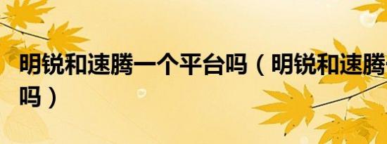明锐和速腾一个平台吗（明锐和速腾一个级别吗）