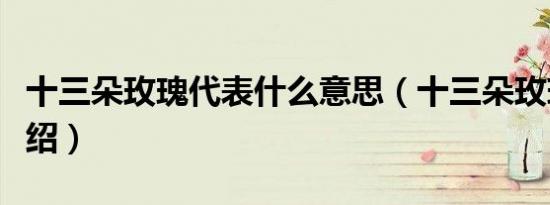 十三朵玫瑰代表什么意思（十三朵玫瑰花语介绍）