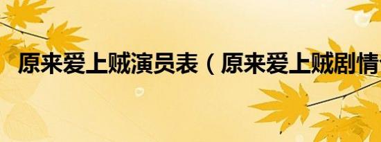 原来爱上贼演员表（原来爱上贼剧情介绍）