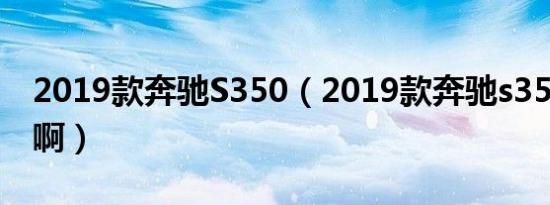 2019款奔驰S350（2019款奔驰s350怎么样啊）