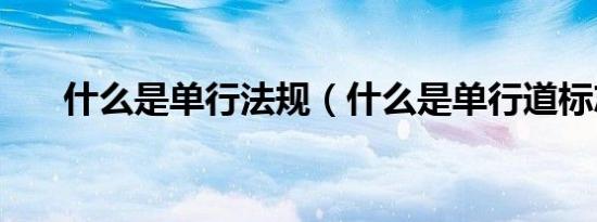 什么是单行法规（什么是单行道标志）
