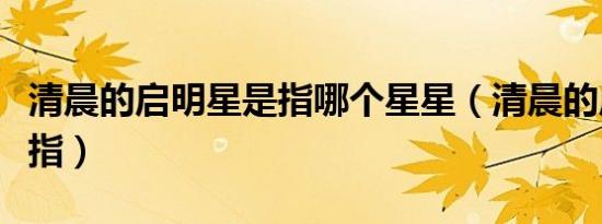 清晨的启明星是指哪个星星（清晨的启明星是指）