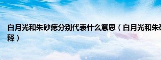 白月光和朱砂痣分别代表什么意思（白月光和朱砂痣分别解释）