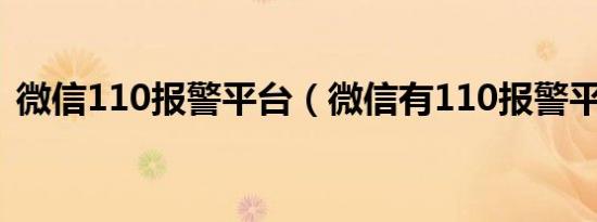 微信110报警平台（微信有110报警平台吗）