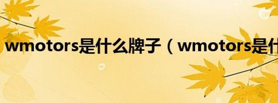 wmotors是什么牌子（wmotors是什么车）