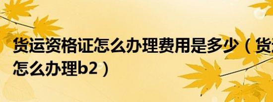 货运资格证怎么办理费用是多少（货运资格证怎么办理b2）