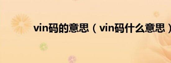 vin码的意思（vin码什么意思）