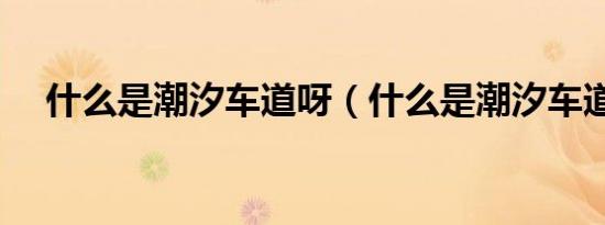 什么是潮汐车道呀（什么是潮汐车道线）