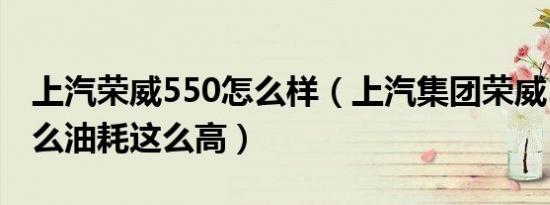 上汽荣威550怎么样（上汽集团荣威550为什么油耗这么高）