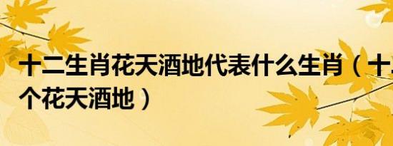 十二生肖花天酒地代表什么生肖（十二生肖哪个花天酒地）