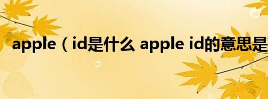 apple（id是什么 apple id的意思是什么）