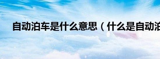 自动泊车是什么意思（什么是自动泊车）