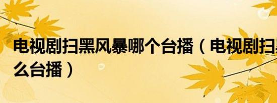 电视剧扫黑风暴哪个台播（电视剧扫黑风暴什么台播）