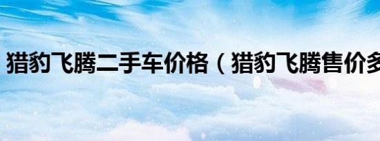 猎豹飞腾二手车价格（猎豹飞腾售价多少钱）