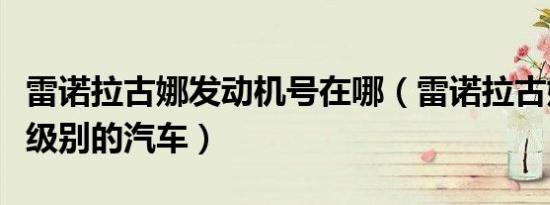 雷诺拉古娜发动机号在哪（雷诺拉古娜是什么级别的汽车）