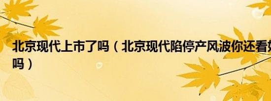 北京现代上市了吗（北京现代陷停产风波你还看好北京现代吗）