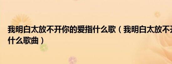 我明白太放不开你的爱指什么歌（我明白太放不开你的爱指什么歌曲）