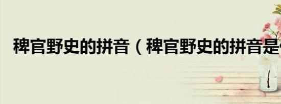 稗官野史的拼音（稗官野史的拼音是什么）