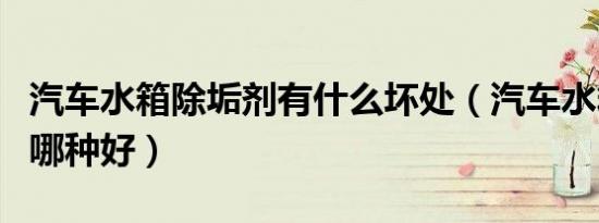 汽车水箱除垢剂有什么坏处（汽车水箱除垢剂哪种好）