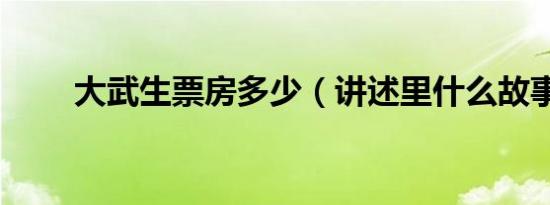 大武生票房多少（讲述里什么故事）