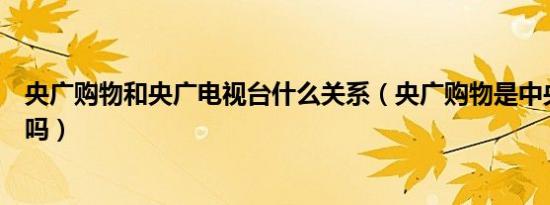 央广购物和央广电视台什么关系（央广购物是中央电视台的吗）
