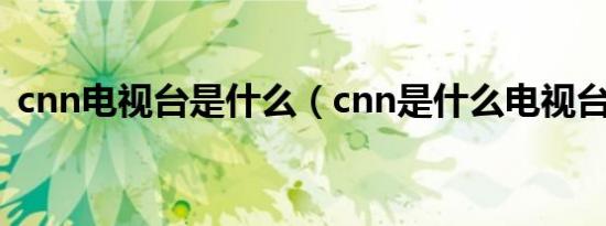 cnn电视台是什么（cnn是什么电视台全称）