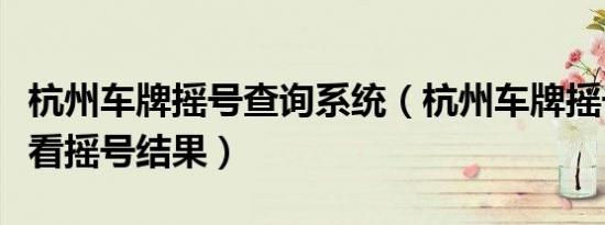 杭州车牌摇号查询系统（杭州车牌摇号怎么查看摇号结果）