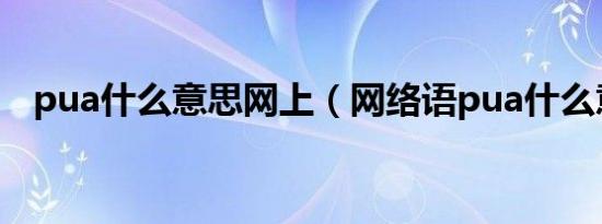 pua什么意思网上（网络语pua什么意思）