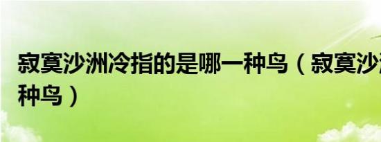 寂寞沙洲冷指的是哪一种鸟（寂寞沙洲冷是哪种鸟）