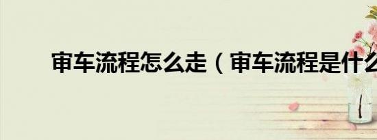 审车流程怎么走（审车流程是什么）