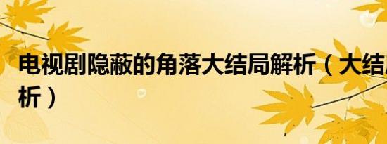 电视剧隐蔽的角落大结局解析（大结局内容解析）