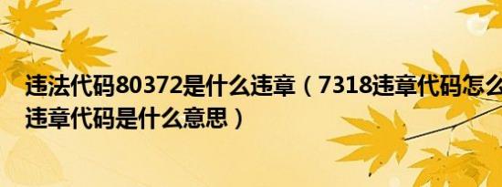 违法代码80372是什么违章（7318违章代码怎么解决7318违章代码是什么意思）