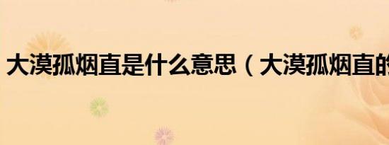 大漠孤烟直是什么意思（大漠孤烟直的解释）
