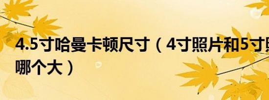 4.5寸哈曼卡顿尺寸（4寸照片和5寸照片尺寸哪个大）