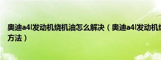 奥迪a4l发动机烧机油怎么解决（奥迪a4l发动机烧机油解决方法）