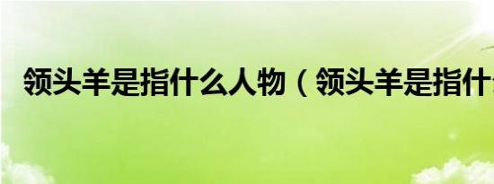 领头羊是指什么人物（领头羊是指什么人）