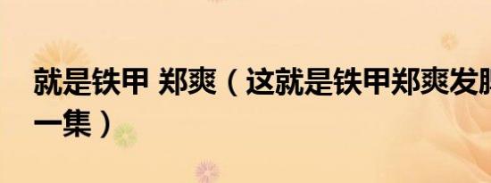 就是铁甲 郑爽（这就是铁甲郑爽发脾气是哪一集）