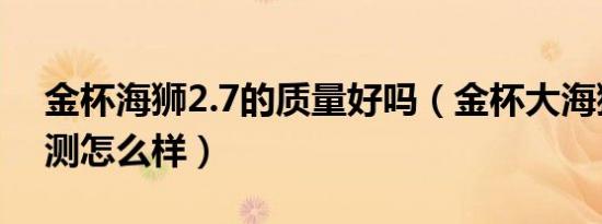 金杯海狮2.7的质量好吗（金杯大海狮7座评测怎么样）