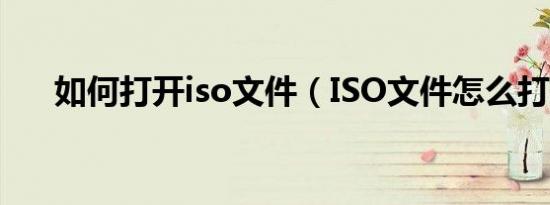 如何打开iso文件（ISO文件怎么打开）