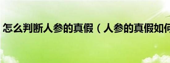 怎么判断人参的真假（人参的真假如何辨别）