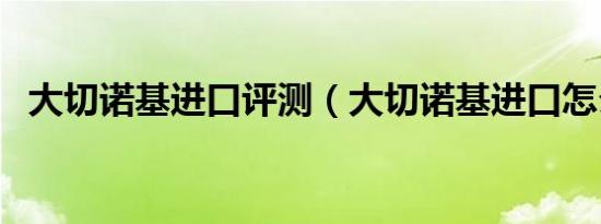 大切诺基进口评测（大切诺基进口怎么样）