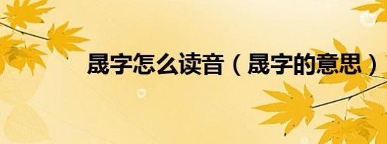 晟字怎么读音（晟字的意思）