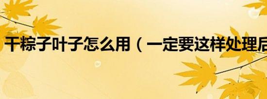 干粽子叶子怎么用（一定要这样处理后再用）
