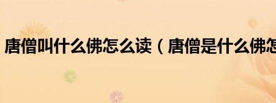 唐僧叫什么佛怎么读（唐僧是什么佛怎么读）