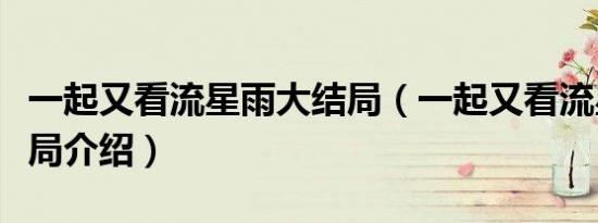 一起又看流星雨大结局（一起又看流星雨大结局介绍）