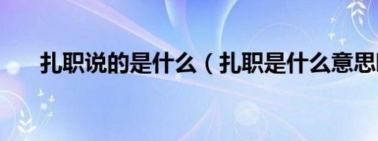 扎职说的是什么（扎职是什么意思啊）