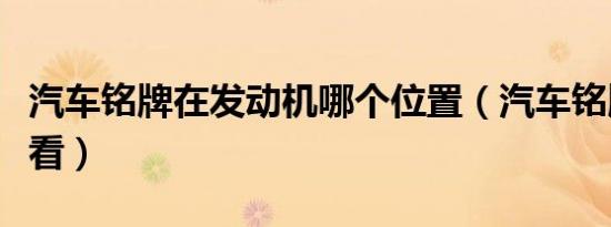 汽车铭牌在发动机哪个位置（汽车铭牌在哪里看）