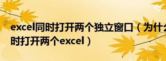 excel同时打开两个独立窗口（为什么不能同时打开两个excel）