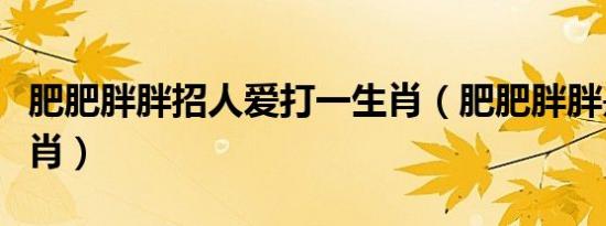 肥肥胖胖招人爱打一生肖（肥肥胖胖是什么生肖）