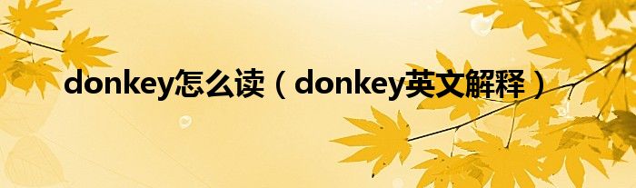 donkey怎么读（donkey英文解释）
